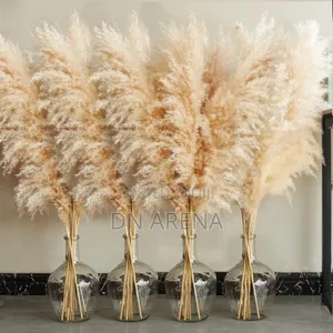 Natural Pampas Grass and Vases