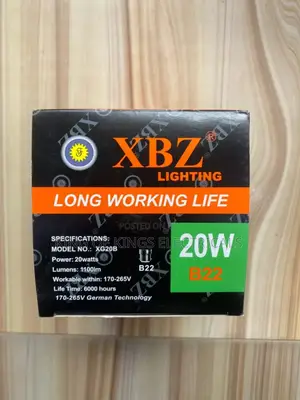 XBZ Lighting 20w Led Bulb (B22)