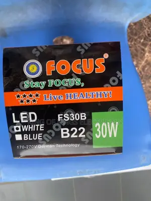 Focus 30w Led Bulb (B22)