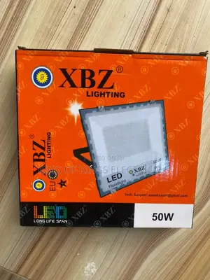 XBZ Lighting 50w Led Floodlight