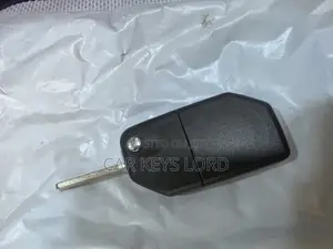 Bmw Bike Smart Key Programing