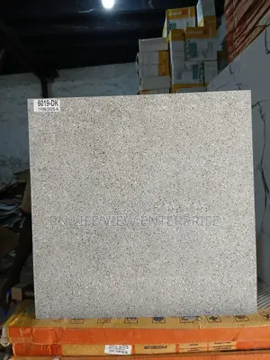 40x40 Compound Indian Tiles.