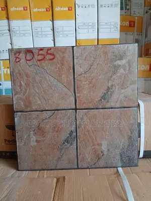 40x40 Compound Indian Tiles.