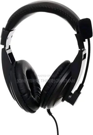 Headset With Microphone
