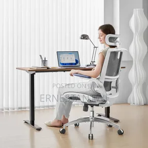 Sihoo Ergonomic Mesh Office Chair From Uk