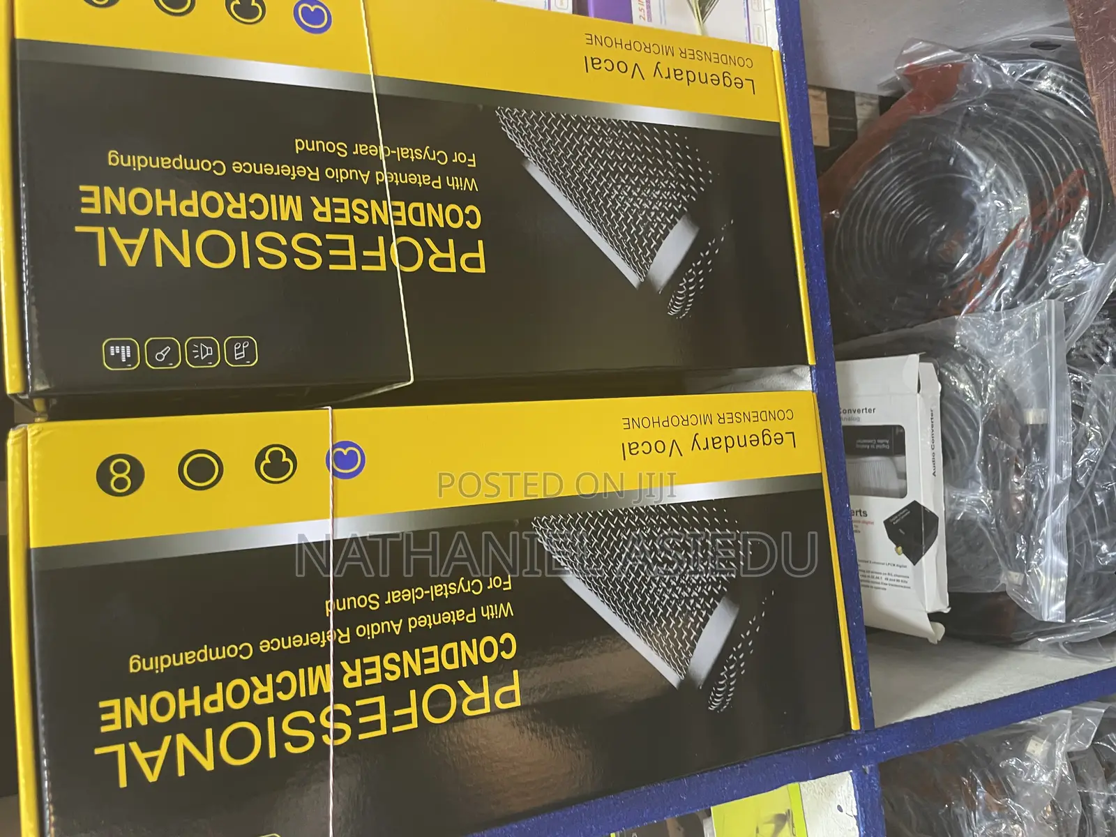 Professional Condenser Microphone