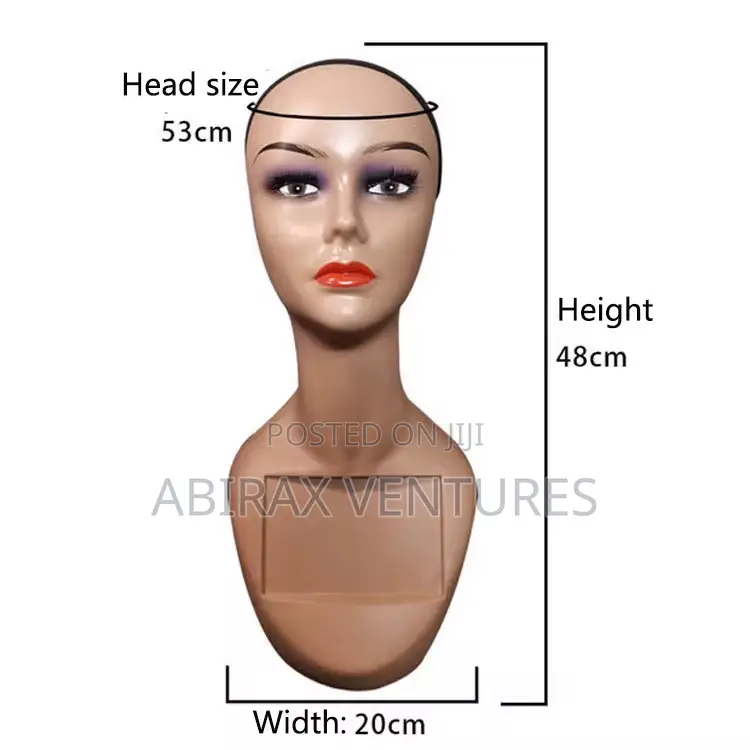 Long Neck Mannequin Head Available