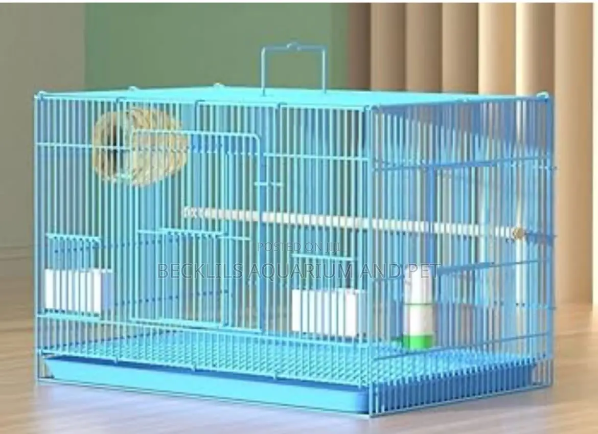 Large N Big Cages for Parrot