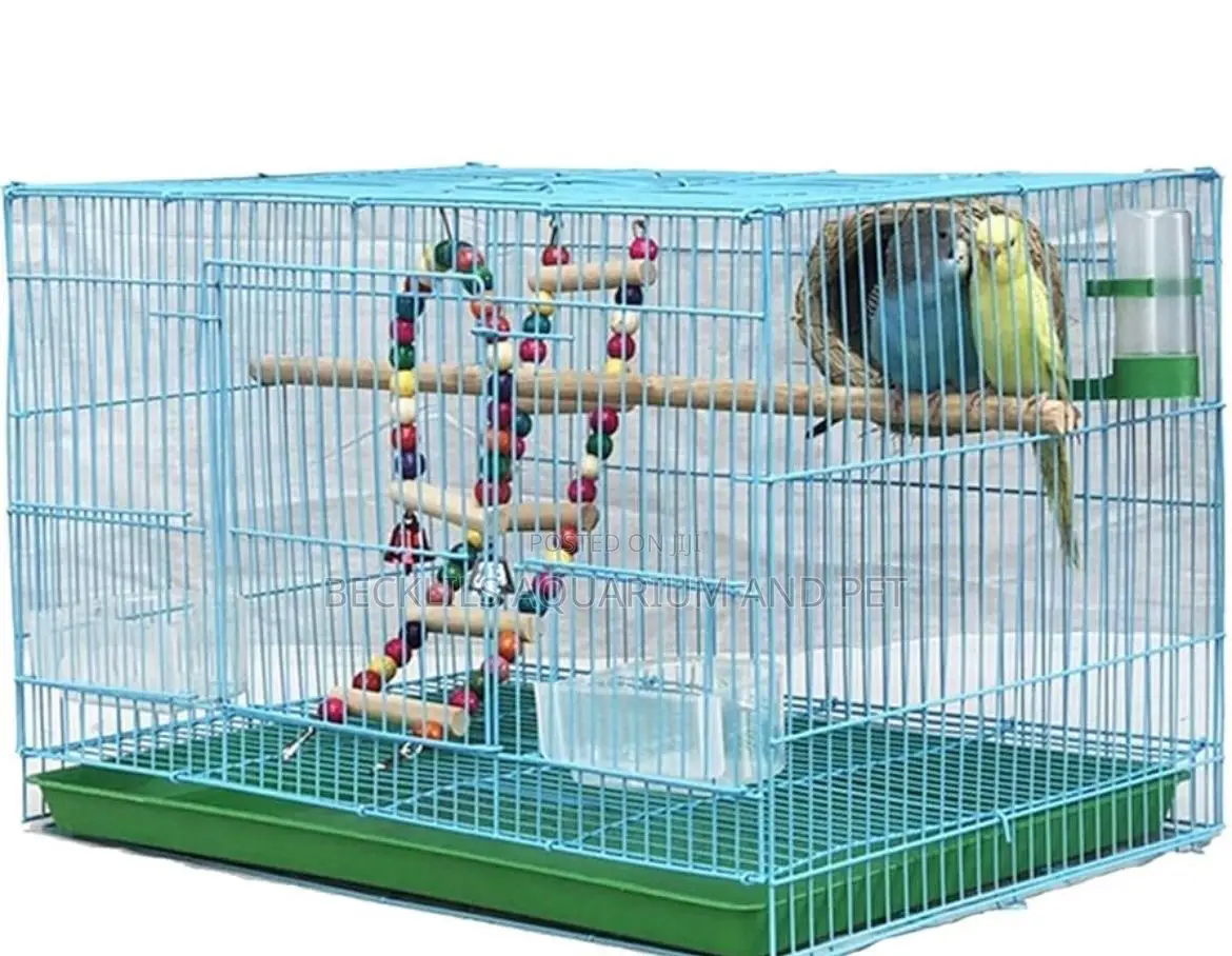 Large N Big Cages for Parrot