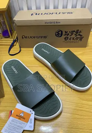 Luofu Slides