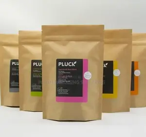 Brown Kraft Paper Pouch [Windowless]