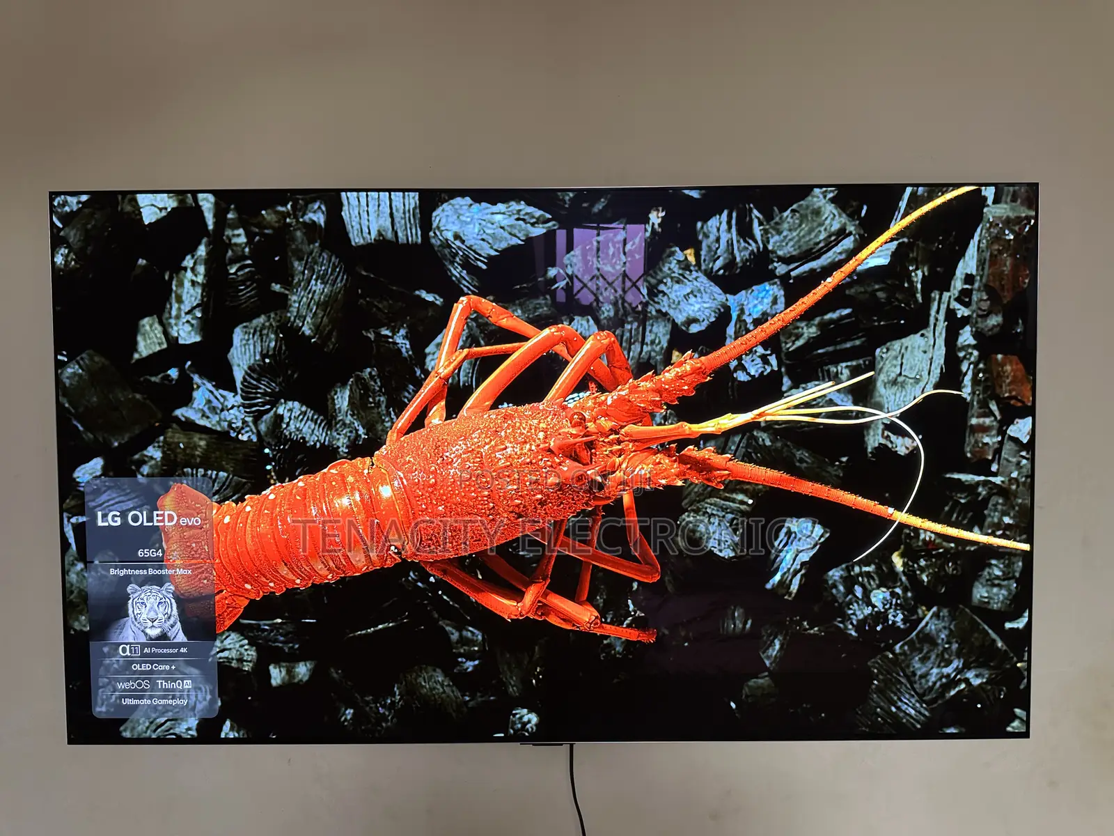 G4 Oled 65”Lg Uhd HDR Smart Satellite Tv