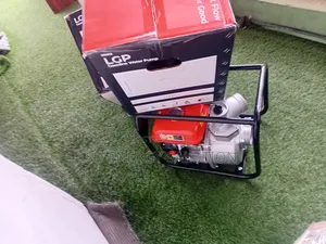 Most Heavy Strong Leo 3inches Waterpump 6.5hp Highly Quality