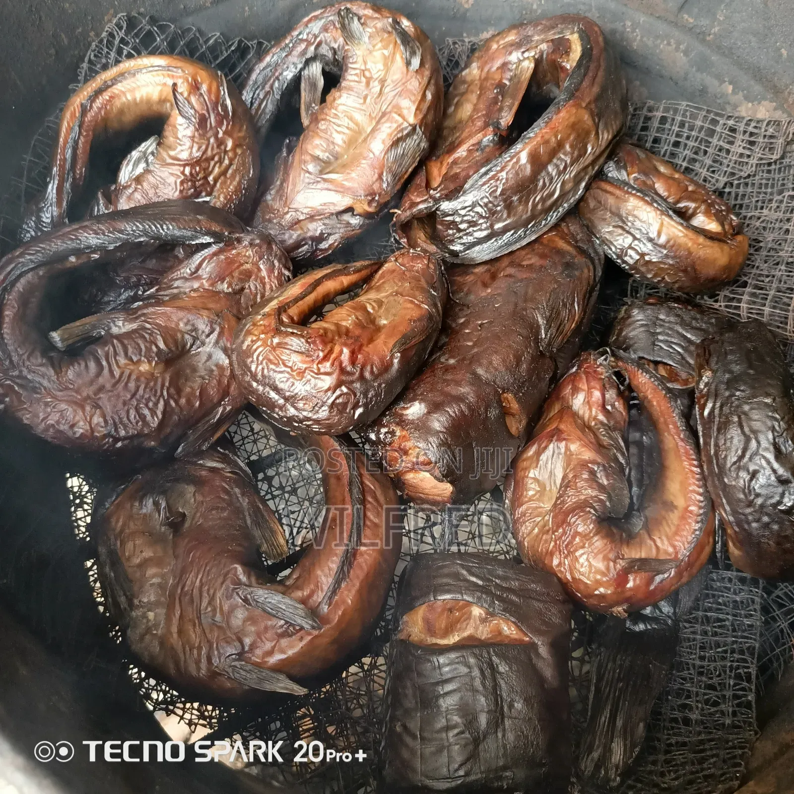 Smoked Catfish Available