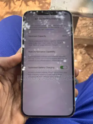 Apple iPhone 12 Pro Max 256 GB Rose Gold
