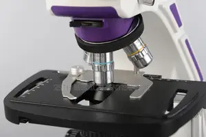 Microscope With Screen