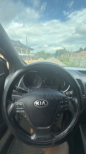 Kia Forte 2015