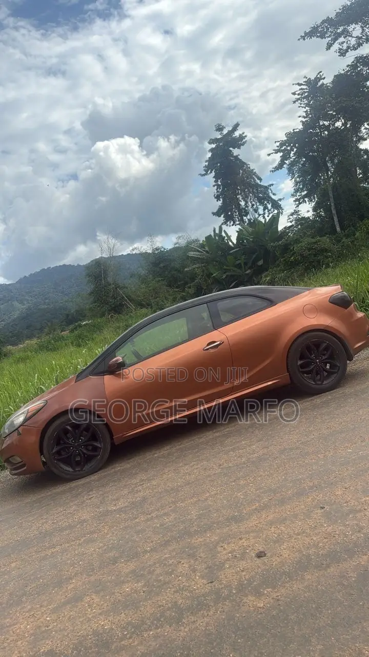 Kia Forte 2015