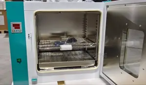Lab Incubator (30 Ltrs)
