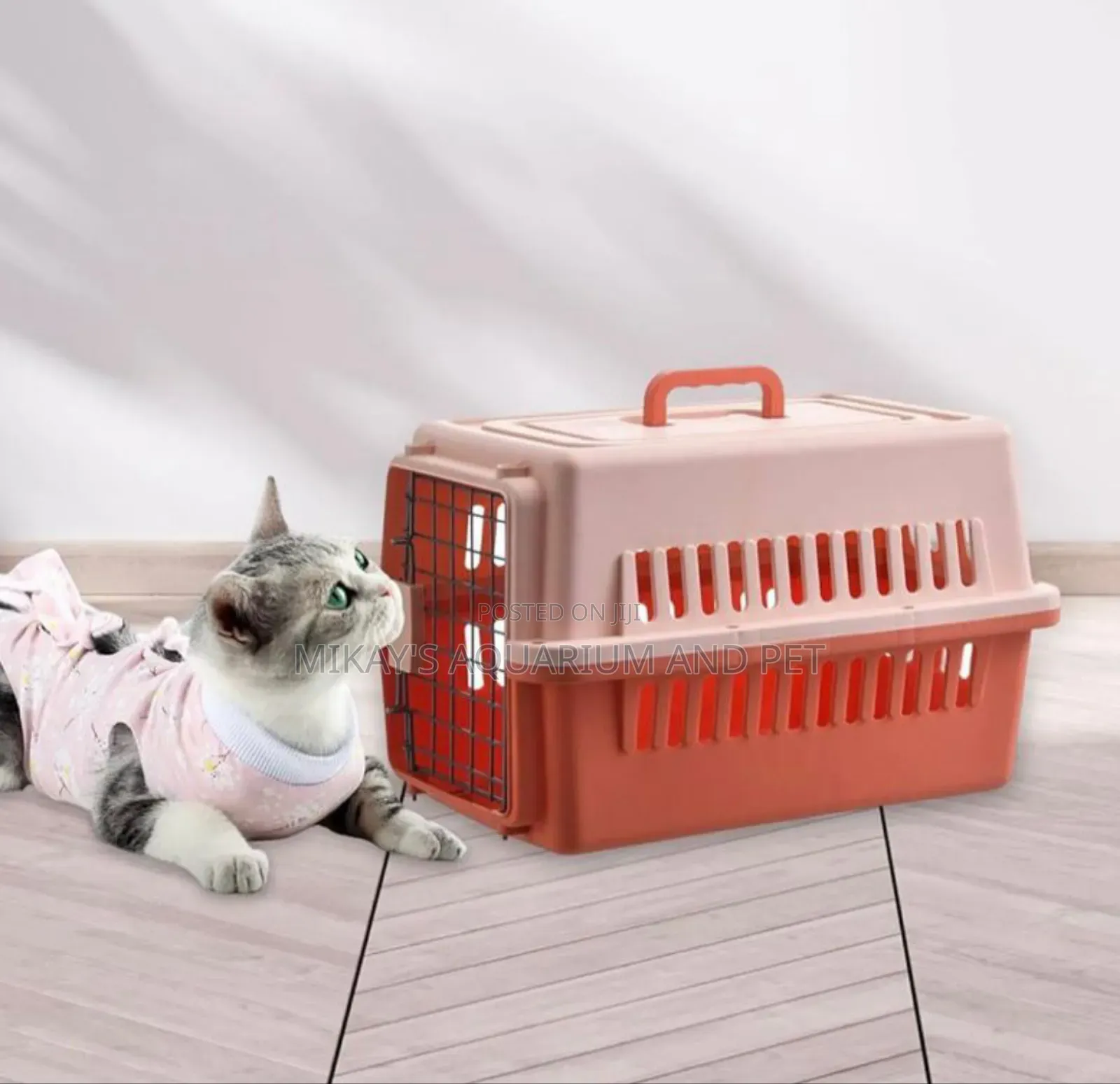 Plastic Dog Cage