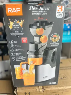 Raf High Quality Slow Juicer 250w