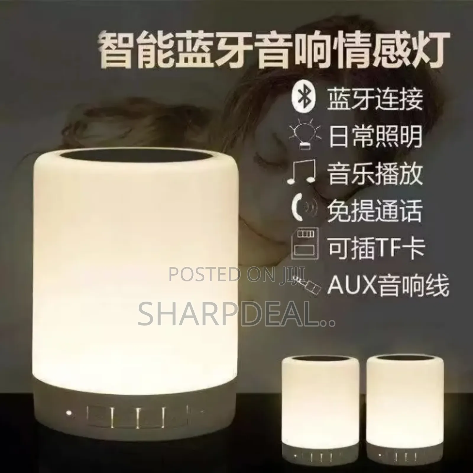 Wireless Bluetooth Speaker With Fm Radio