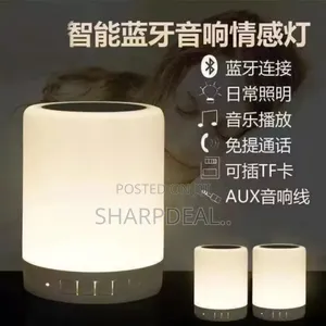 Wireless Bluetooth Speaker With Fm Radio