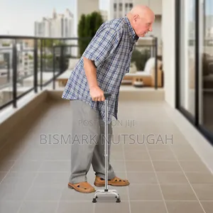 Portable Four Stand Walking Stick