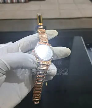 Luxury Women’S Wristwatch Bracelet Combo!