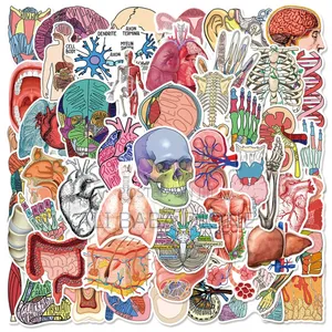 Suturing and Cannulation Kits With Anatomy Stickers
