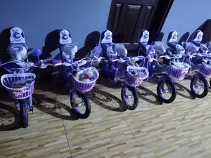 Brand New Kid's Bicycle