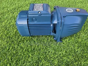 Pedrollo 1.0 Hp Castbody