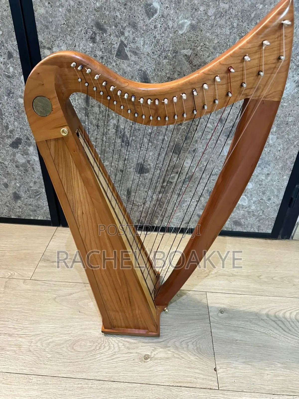 Harp Musical Instrument