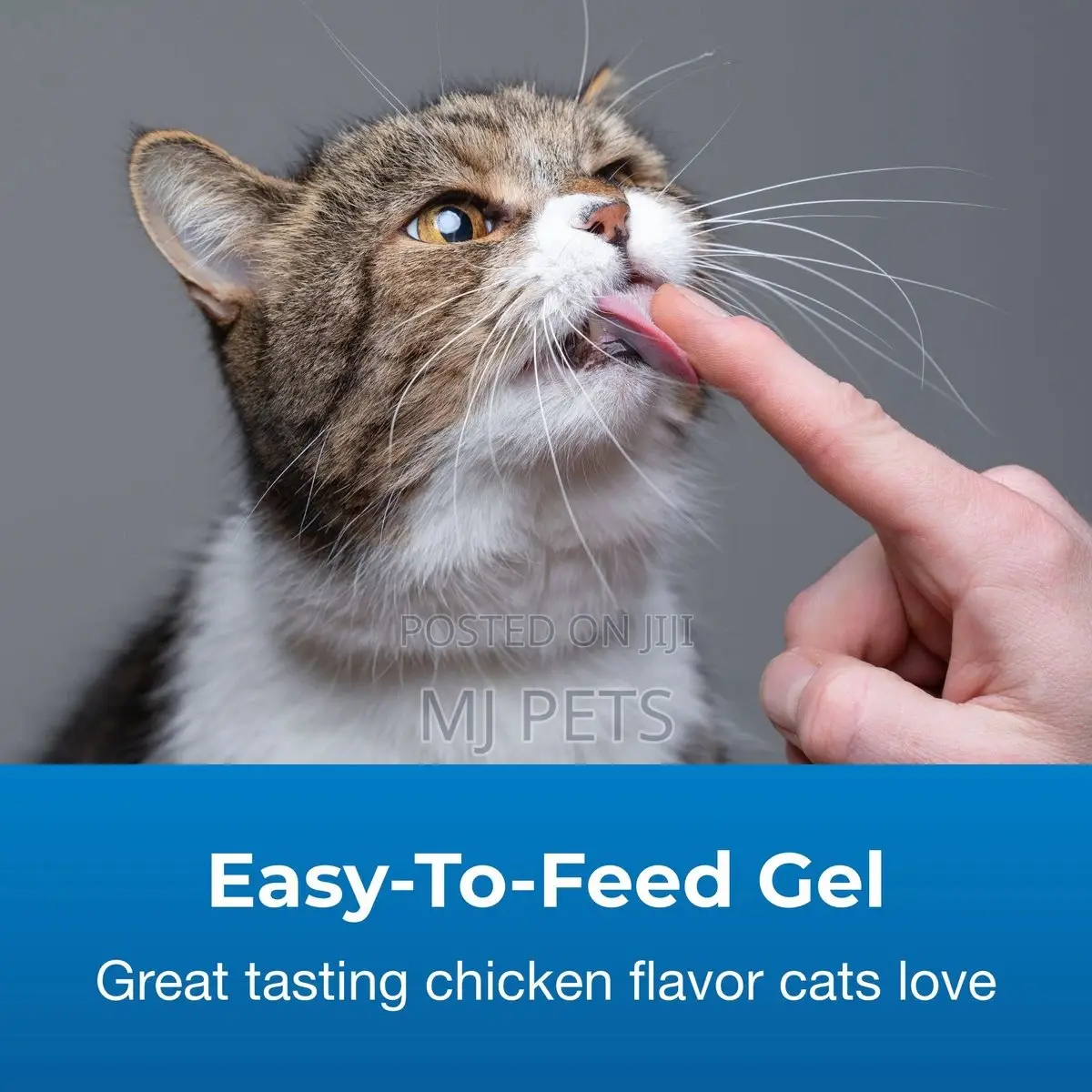 Hairball Natural Solution Gel