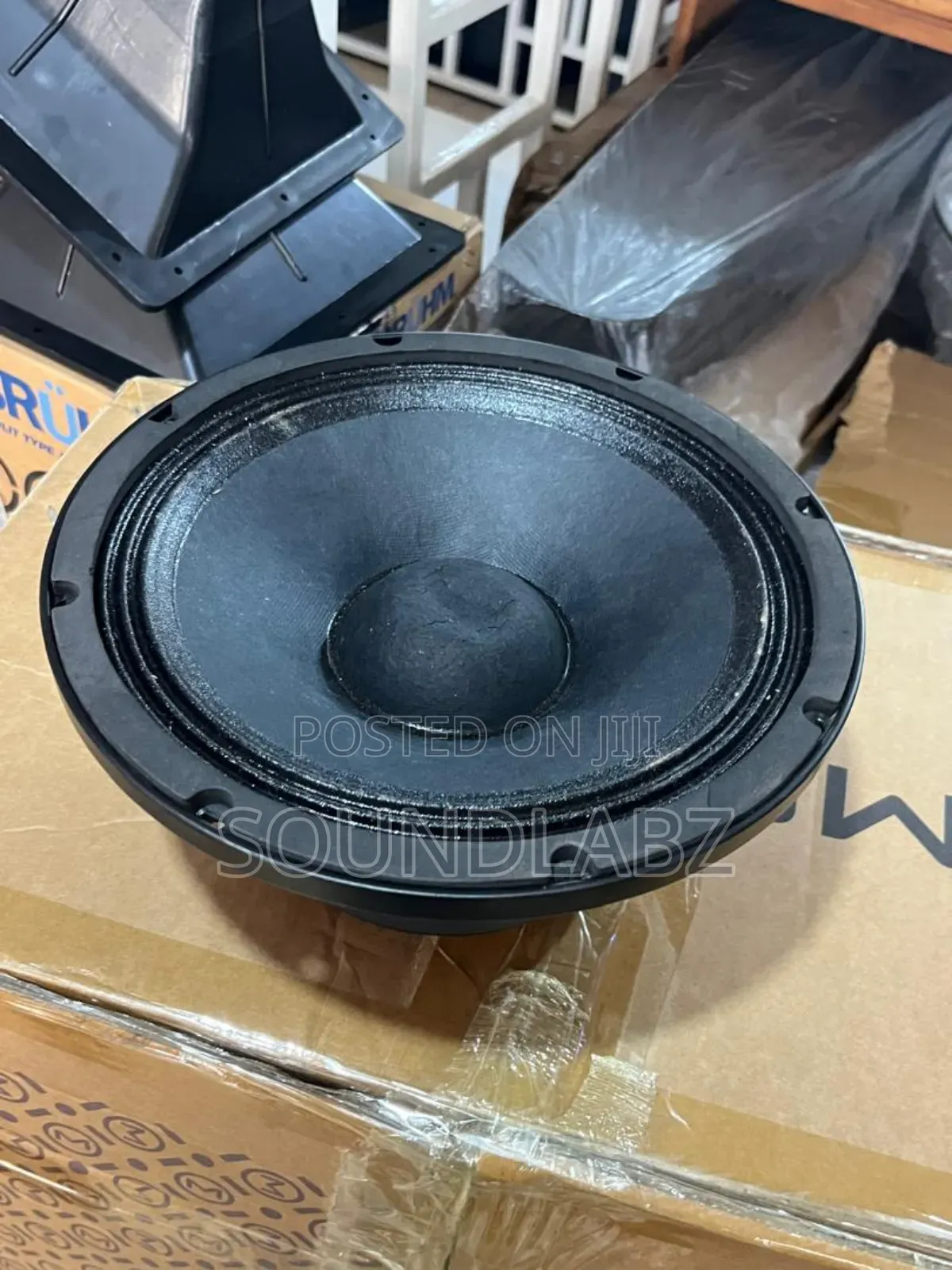 10inches Line Array Double Magnet Naked Speaker (250w)