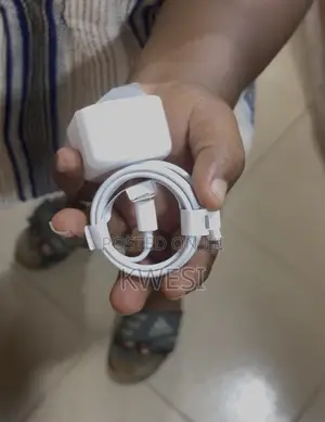 iPhone Charger Complete
