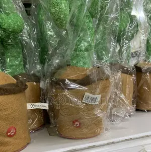 Cactus Dancing Toy