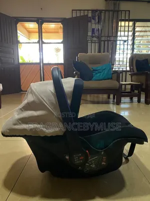 Double Stroller With Car Seat