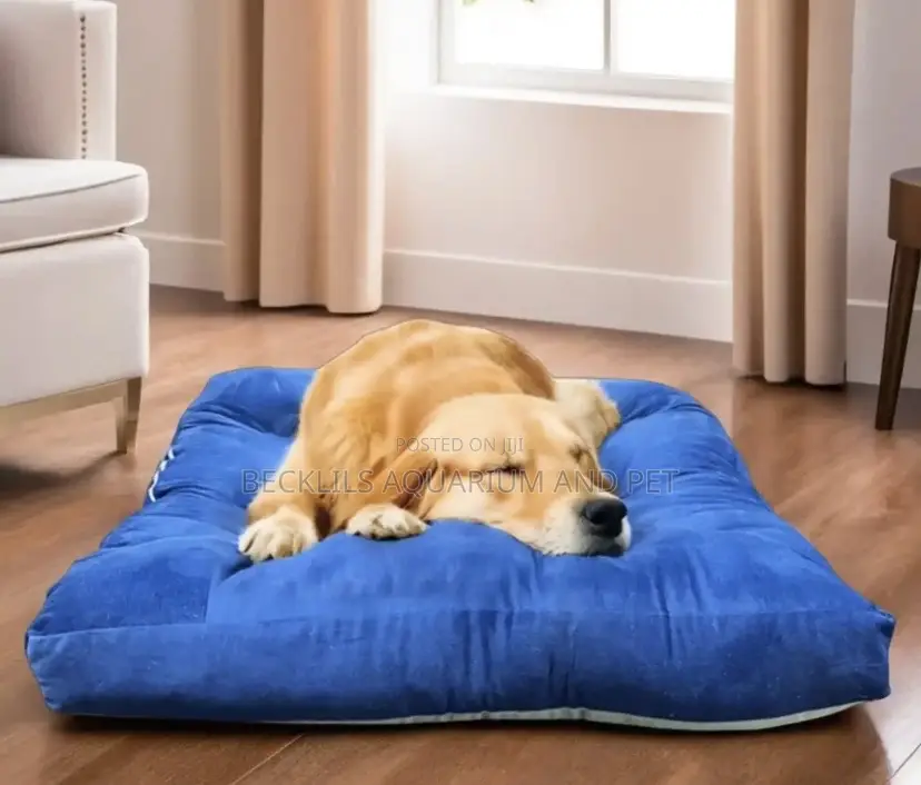 Sofa Bed Extra Large Dog Bed