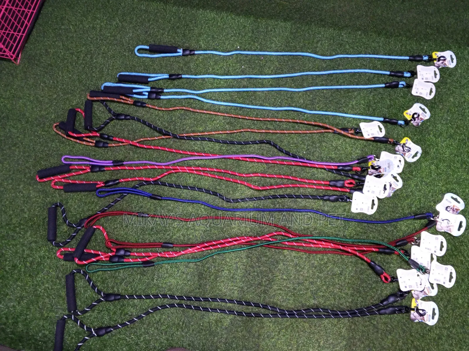 Leashes for Dogs