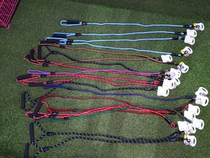Leashes for Dogs