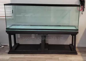 We Build Aquarium With Furniture Metallic
