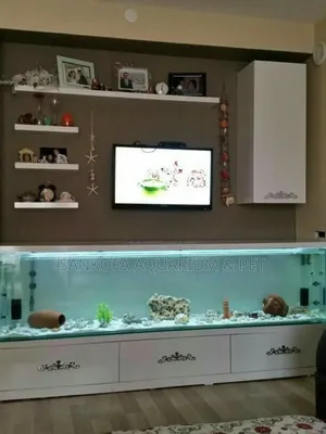 We Build Ultra Classic Modern Tv Unit Aquarium