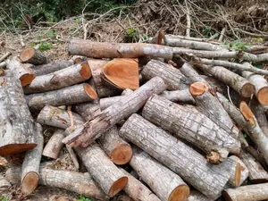 Firewood for Sale