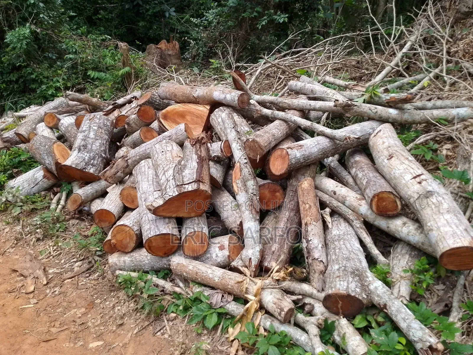 Firewood for Sale
