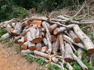 Firewood for Sale