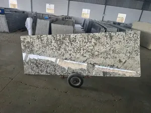Granite Slabs, Cladding Stones, Polishpad,Marble Glue,Laminated Board