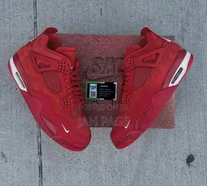 Air Jordan 4 Nigel Sylvester