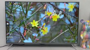Samsung Qled 65inc
