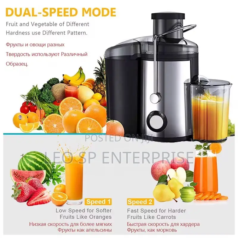 Fruit Juicer for Sale